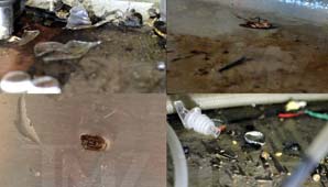 Acá entregarán los Oscar Acá entregarán los Oscar