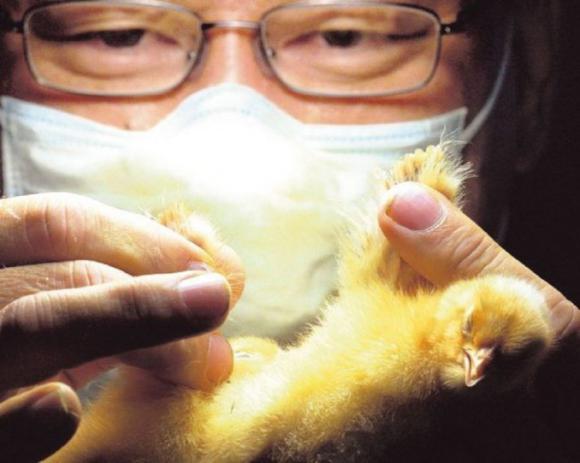 ¿Lo hacés por $43 mil? ¿Lo hacés por $43 mil?