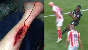 Una bestia Una bestia