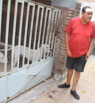 Lo iban a robar, pero lo salvaron sus perros Lo iban a robar, pero lo salvaron sus perros