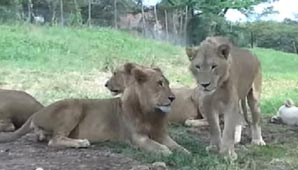 El susto de sus vidas