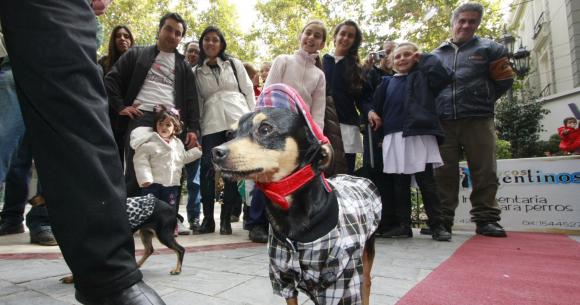 Festejos por 4 días en honor a los animales Festejos por 4 días en honor a los animales
