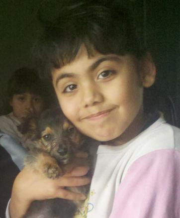 Embistió y mató a una nena Embistió y mató a una nena