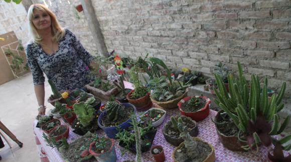 La mujer que se convirtió en fanática de los cactus La mujer que se convirtió en fanática de los cactus