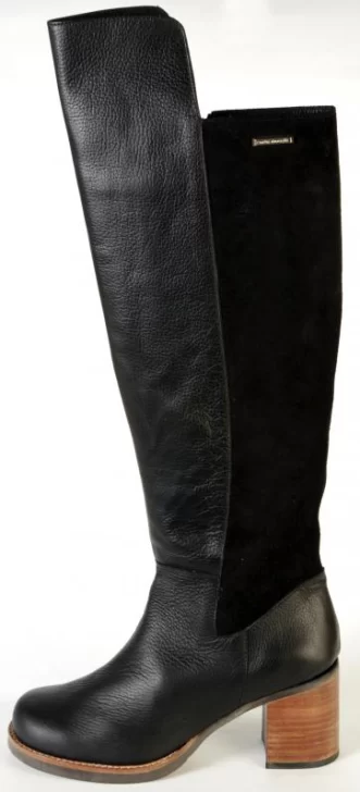 El complemento ideal El complemento ideal