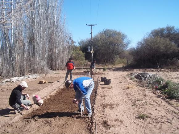 Cómo emprender y agregar valor Cómo emprender y agregar valor