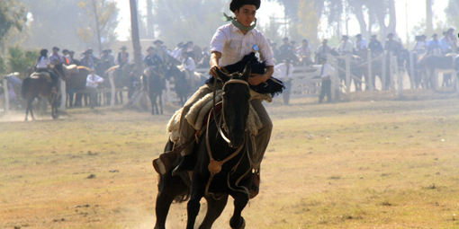 Más de 3.500 gauchos festejan el Día del Trabajador en Angaco Más de 3.500 gauchos festejan el Día del Trabajador en Angaco