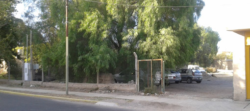 Ya hay más de 6.000 muertos por el terremoto en Nepal Ya hay más de 6.000 muertos por el terremoto en Nepal