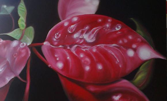 Más muestras para ver Más muestras para ver