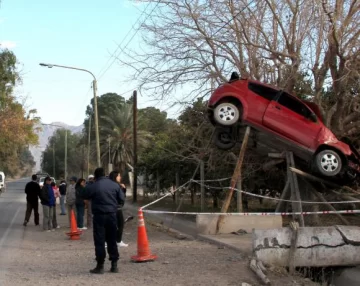 En su cumpleaños, chocó y quedó colgado en un árbol En su cumpleaños, chocó y quedó colgado en un árbol