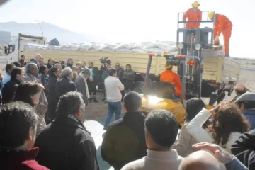 La alfalfa vuelve a ser una alternativa para San Juan La alfalfa vuelve a ser una alternativa para San Juan