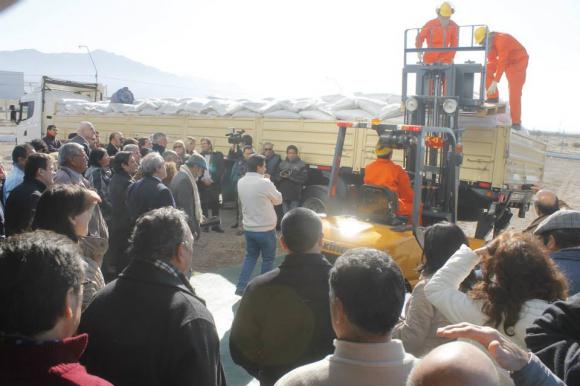 La alfalfa vuelve a ser una alternativa para San Juan La alfalfa vuelve a ser una alternativa para San Juan