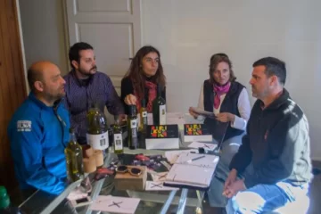 Diseño e innovación para la sustentabilidad olivícola Diseño e innovación para la sustentabilidad olivícola