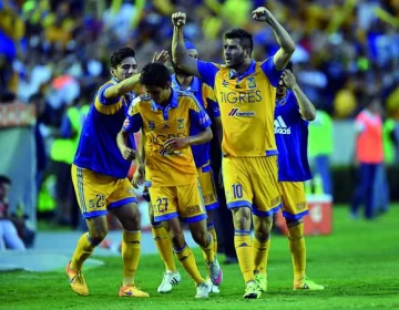 Tigres, orden y explosión Tigres, orden y explosión