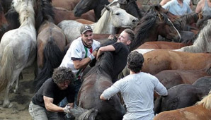 Brutal festival en el que hombres pelean con caballos Brutal festival en el que hombres pelean con caballos