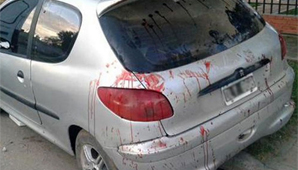 ¡Una joyita! ¡Una joyita!