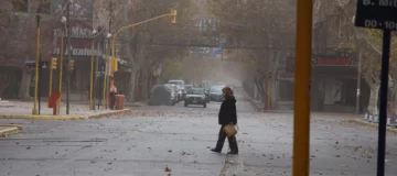 Tierra, viento y hojas, las postales de este domingo Tierra, viento y hojas, las postales de este domingo