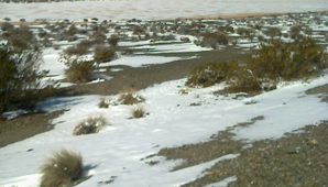 Recomiendan circular con precaución en caminos nevados Recomiendan circular con precaución en caminos nevados