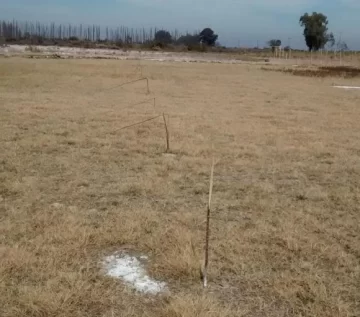 En 3 meses, 2 ataques al oratorio de San Expedito En 3 meses, 2 ataques al oratorio de San Expedito