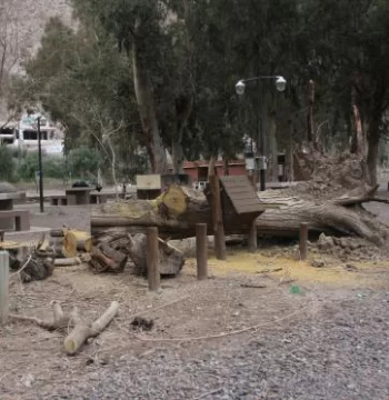 Trabajan también para poder reabrir el camping municipal Trabajan también para poder reabrir el camping municipal