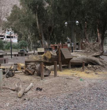 Trabajan también para poder reabrir el camping municipal Trabajan también para poder reabrir el camping municipal