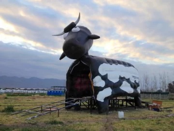 Está listo el 80% del INTA Expone, la megamuestra que empieza el viernes Está listo el 80% del INTA Expone, la megamuestra que empieza el viernes