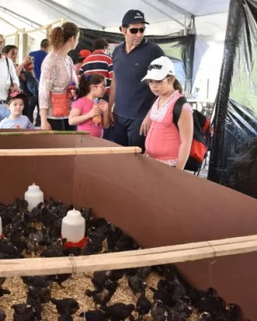 Los animales, otro atractivo Los animales, otro atractivo