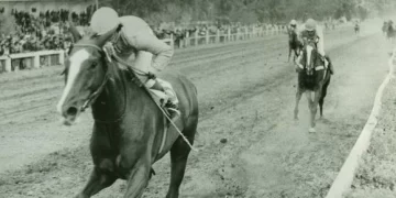 Zumbón, el nombre del récord Zumbón, el nombre del récord