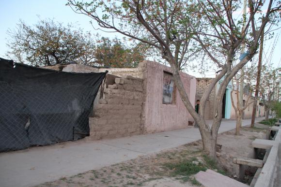 El 60% de los perros que atacan a la gente es doméstico, no callejero El 60% de los perros que atacan a la gente es doméstico, no callejero