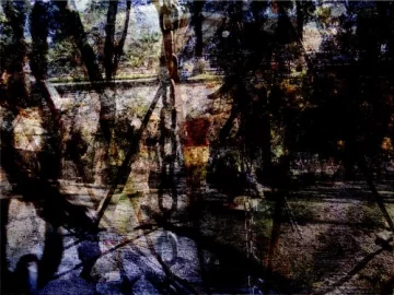 Experiencia sensorial Experiencia sensorial