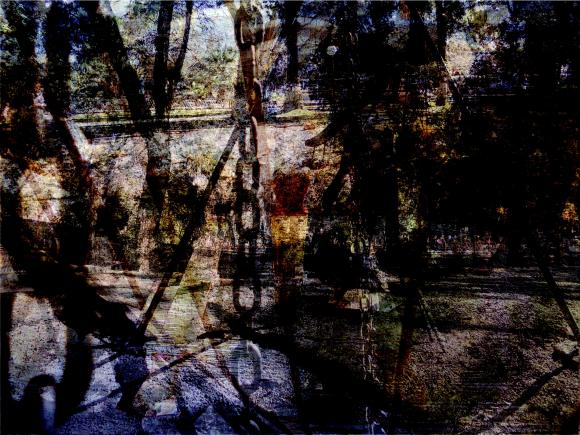 Experiencia sensorial Experiencia sensorial