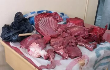 Preso por faenar el caballo del vecino Preso por faenar el caballo del vecino