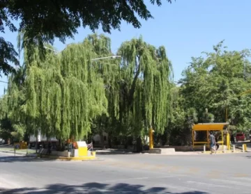 Típica Esquina del Sauce Típica Esquina del Sauce