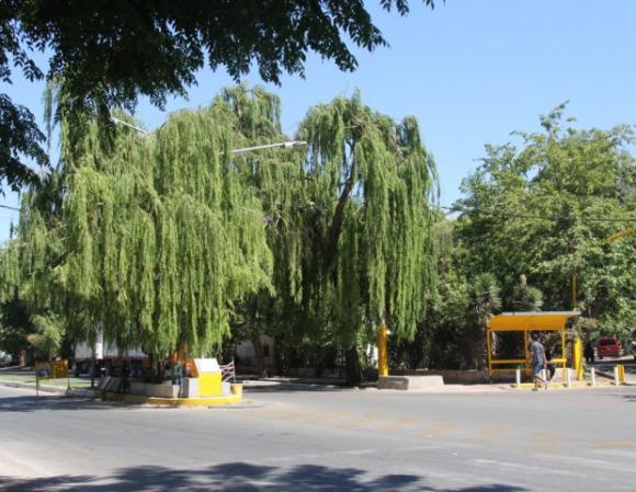 Típica Esquina del Sauce Típica Esquina del Sauce