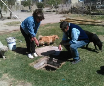 Desagotan con baldes las cámaras sépticas llenas Desagotan con baldes las cámaras sépticas llenas