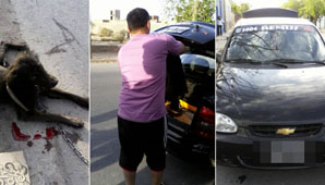 Echaron al remisero del caso de crueldad animal en Rawson Echaron al remisero del caso de crueldad animal en Rawson