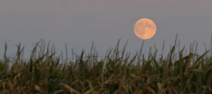 El mundo ya vive la Luna roja El mundo ya vive la Luna roja