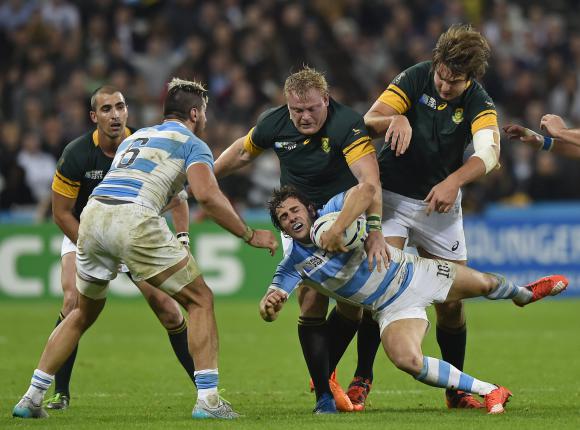 Pura dignidad Pura dignidad