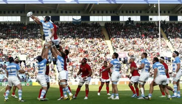 Los Pumas, en foco Los Pumas, en foco