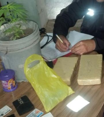 Marihuana: incautan ‘panes’ y plantas Marihuana: incautan ‘panes’ y plantas