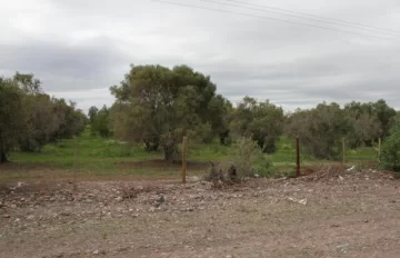 Buscan expropiar 28 ha para la Ciudad Deportiva Buscan expropiar 28 ha para la Ciudad Deportiva