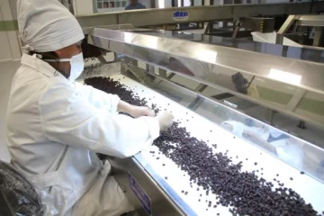 Paseros esperan con stock una mejora de precios para exportar Paseros esperan con stock una mejora de precios para exportar