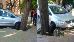 Por esquivar un auto terminó chocando contra un árbol Por esquivar un auto terminó chocando contra un árbol