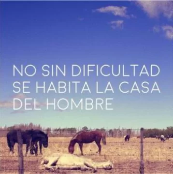 Paisaje intervenido Paisaje intervenido