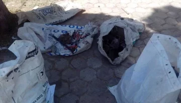 Robaban placas y floreros del cementerio y los atraparon Robaban placas y floreros del cementerio y los atraparon