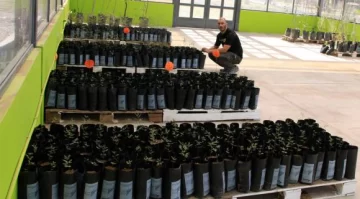 Reforestarán 2 diques con unos 4.000 árboles nativos Reforestarán 2 diques con unos 4.000 árboles nativos