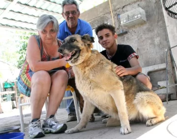 Simba, libre y con un nuevo hogar Simba, libre y con un nuevo hogar