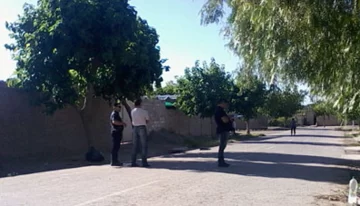 Hallazgo macabro: encuentran un bebé muerto que era devorado por perros Hallazgo macabro: encuentran un bebé muerto que era devorado por perros