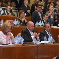 Las perlitas de la jura Las perlitas de la jura