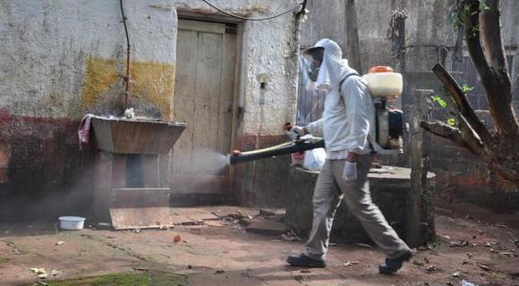 Los casos de dengue abren fase de alerta Los casos de dengue abren fase de alerta